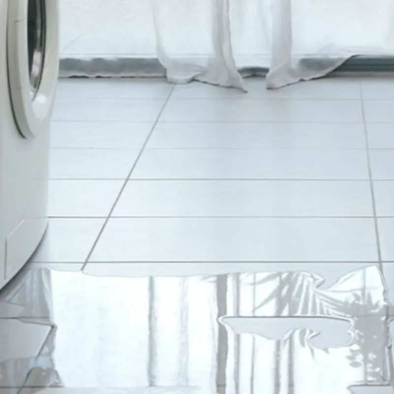 Appliance Leak Cleanup in Egg Harbor City, NJ