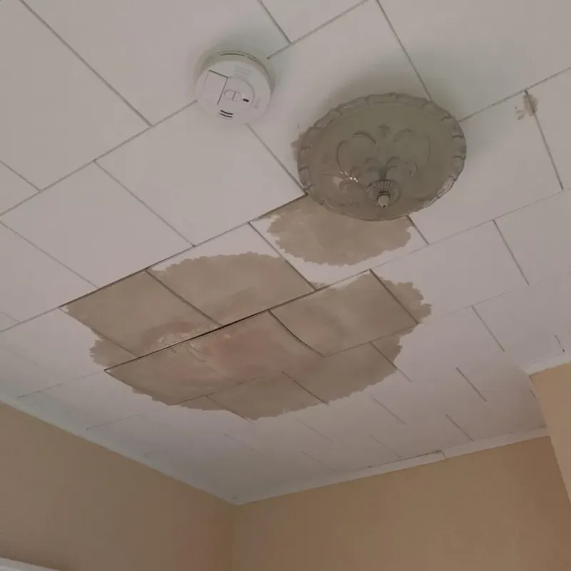 Ceiling Water Damage Repair in Egg Harbor City, NJ